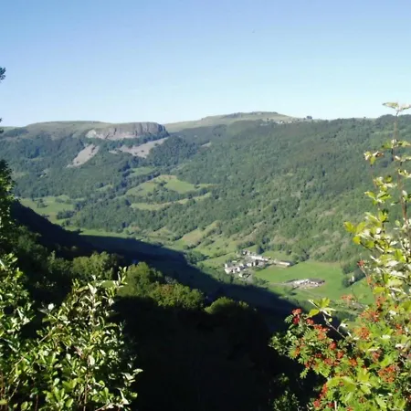 Gite Authentique Au Coeur Des Volcans D'auvergne, 6 Pers, 3 Ch, Cheminee, Animaux Acceptes, Wi-fi, Tv - Fr-1-742-126 Holiday home Brezons