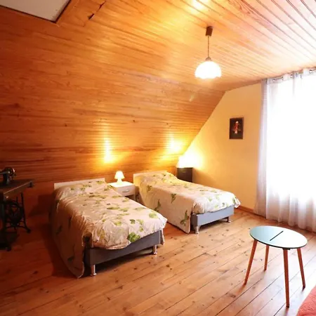 Gite Authentique Au Coeur Des Volcans D'auvergne, 6 Pers, 3 Ch, Cheminee, Animaux Acceptes, Wi-fi, Tv - Fr-1-742-126